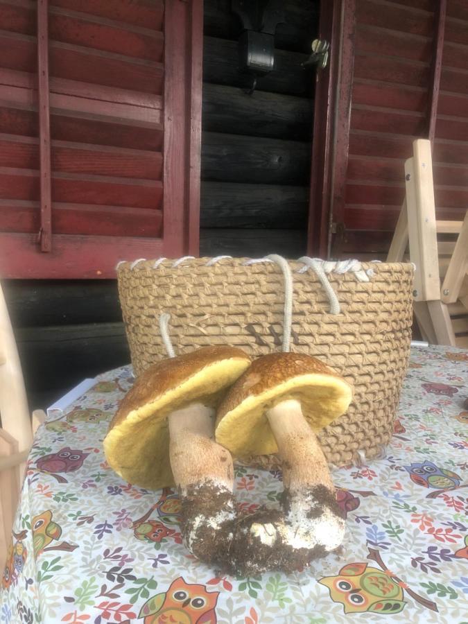 Tilia Cottage Banjska stena Mitrovac Exteriör bild