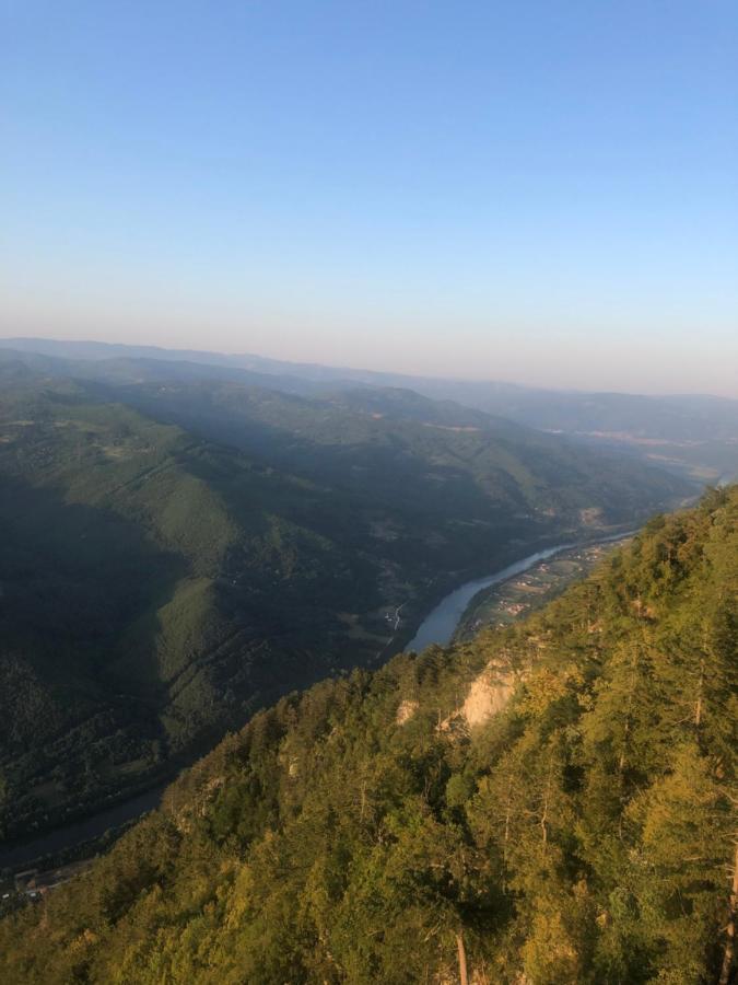 Tilia Cottage Banjska stena Mitrovac Exteriör bild